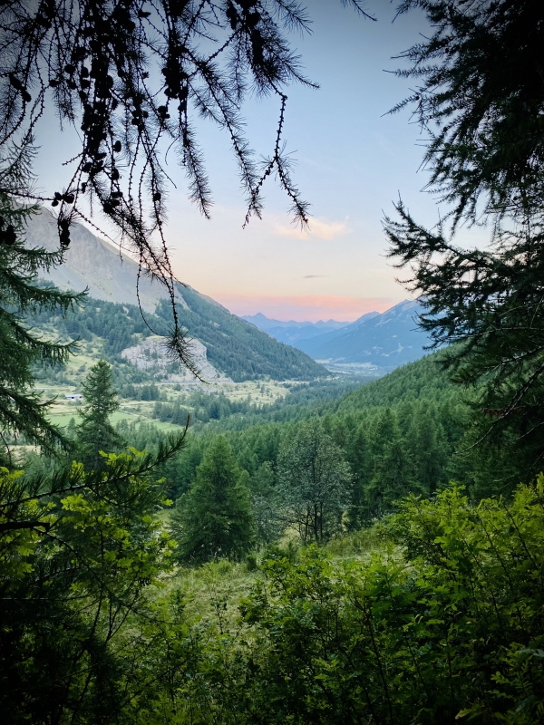 Ecrins.